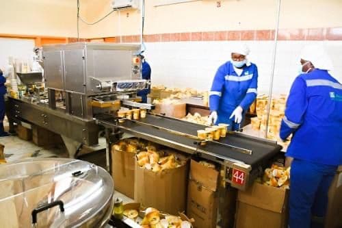 Économie circulaire: Le Cameroun mise sur la création de 300 PME