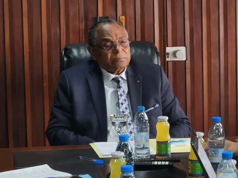 Dialogue Social: Le Cameroun et le CSFEF renforcent les échanges