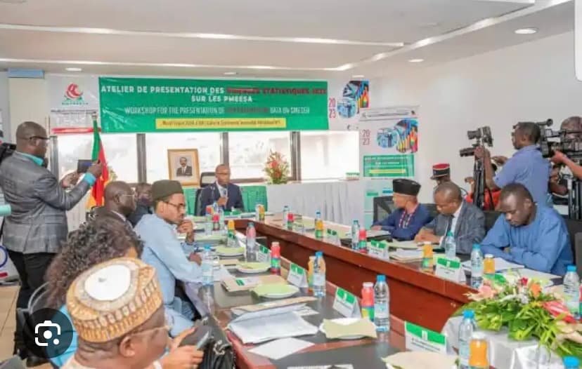 Cameroun : le gouvernement, le Pnud et le Brésil unissent leurs forces pour moderniser les PME